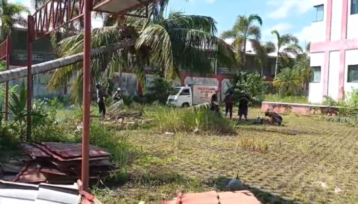 Relawan BPK Kamboja Evakuasi Pohon Kelapa dan Kelapa Sawit Tumbang di Palangka Raya, Proses Berlangsung Tiga Jam
