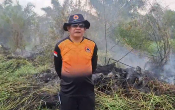 Karhutla Meluas di Palangka Raya, Petugas BPBD Berjuang Padamkan Api di Lahan Gambut
