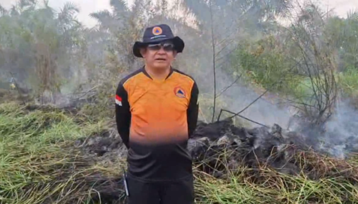 Karhutla Meluas di Palangka Raya, Petugas BPBD Berjuang Padamkan Api di Lahan Gambut