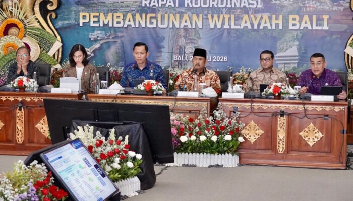 Wamen ATR: RTR dan RDTR Harus Jadi Kompas Pembangunan Bali