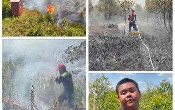 Karhutla Palangka Raya Makin Meluas, Rumah Kayu Kosong Ludes Terbakar