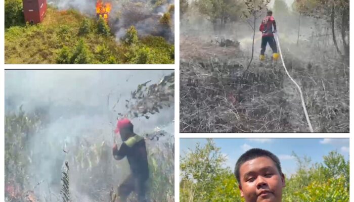 Karhutla Palangka Raya Makin Meluas, Rumah Kayu Kosong Ludes Terbakar