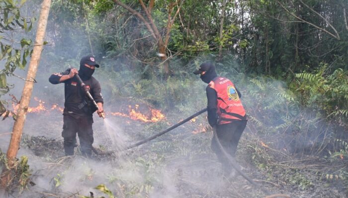 145 Titik Panas Terdeteksi di Kalteng, BPBD Waspadai Potensi Karhutla Meluas