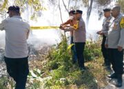 Api Membakar 1,7 Hektare Lahan di Kalampangan, Petugas Bergerak Cegah Karhutla Meluas