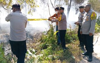 Api Membakar 1,7 Hektare Lahan di Kalampangan, Petugas Bergerak Cegah Karhutla Meluas