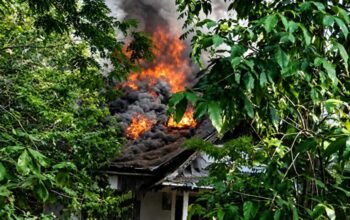 Breaking News​ : Lama Terbengkalai, Bekas Kantor Dayak Post Ludes Terbakar! Rabu 12 Agustus 2026 16:39 WIBolehJean Steve-2 views oleh Jean Steve Breaking News​ : Lama Terbengkalai, Bekas Kantor Dayak Post Ludes Terbakar! 1 Bangunan eks Kantor Harian umum Dayak Post yang telah lama terbengkalai terbakar hebat, Rabu (12/08/2026) sore. (Foto : AJn/Dayak  News) Palangka Raya (Dayak News) – Bangunan terbengkalai bekas Kantor Harian Umum Dayak Post mendadak ludes terbakar pada Rabu (12/08/2026) sekitar pukul 15.30 WIB. Peristiwa ini memicu dugaan kuat adanya unsur kesengajaan oleh Orang Tidak Dikenal (OTK).Berita  ​Kobaran api dilaporkan membesar secara kilat dari bagian belakang hingga tengah struktur bangunan yang telah lama mangkrak tersebut. Area ini diketahui kerap dijadikan tempat berteduh oleh kaum tunawisma.  ​Arian (22), saksi mata yang berada dan beejualan tepat di depan lokasi, mengungkapkan bahwa api muncul secara spontan tanpa adanya aktivitas mencurigakan sebelumnya.   ​”Awalnya terdengar suara retakan keras. Saat saya tengok, api sudah menjulang tinggi dari bagian tengah,” ungkap Arian di lokasi kejadian.Referensi Geografis  ​Guna menjinakkan amukan si jago merah dan mencegah perambatan ke area sekitar, puluhan armada gabungan dari Pemprov Kalteng, Pemkot Palangka Raya, serta BPK Swasta dikerahkan penuh ke lokasi.  ​Kepolisian telah berada di lokasi kejadian untuk melakukan kepentingan olah tempat kejadian perkara dan identifikasi penyebab pasti kebakaran. (AJn)
