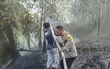 Karhutla 2 Hektare di Palangka Raya Dipadamkan Polisi dan Relawan