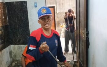 Geger! Dua Ular Piton 3,5 Meter Bersarang di Bawah Lantai Dapur Rumah Warga