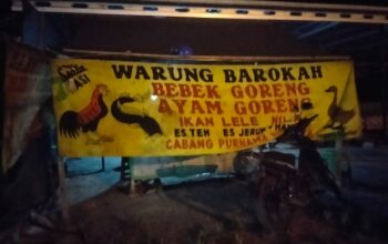 Sering Mati Lampu Berjam-jam, Warga dan Pelaku Usaha di Katingan Keluhkan Layanan Listrik