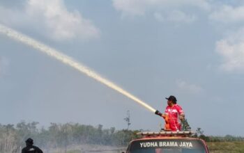 Tim Gabungan Gerak Cepat Padamkan Karhutla di Kapuas Hulu, 5 Hektare Lahan Terbakar