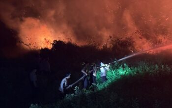 Karhutla Nyaris Kepung Permukiman di Palangka Raya, Ditsamapta Polda Kalteng Bergerak Cepa
