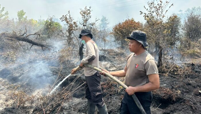 Karhutla 5 Hektare di Palangka Raya Berhasil Dipadamkan, Bara dalam Gambut Masih Dipantau