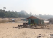 Akibat Kemarau Panjang, Sungai Barito di Barito Utara Surut Drastis