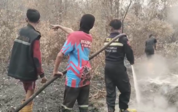 Relawan Gabungan Padamkan Kebakaran Lahan Hampir 1 Hektar di Palangka Raya