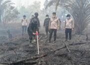 Serbuk Tepung Singkong Dipakai Padamkan Bara di Lahan Gambut Kalteng
