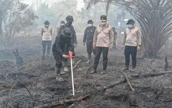 Serbuk Tepung Singkong Dipakai Padamkan Bara di Lahan Gambut Kalteng