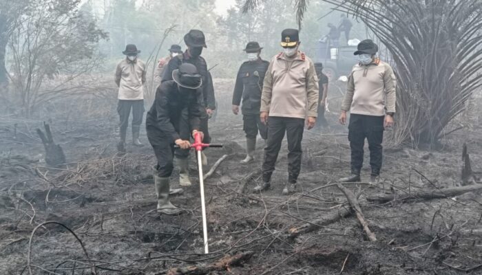 Serbuk Tepung Singkong Dipakai Padamkan Bara di Lahan Gambut Kalteng