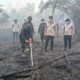 Serbuk Tepung Singkong Dipakai Padamkan Bara di Lahan Gambut Kalteng