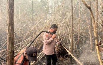 Karhutla Dekati Jalan Trans Kalimantan, Tim Gabungan Lakukan Pemadaman hingga ke Dalam Gambut