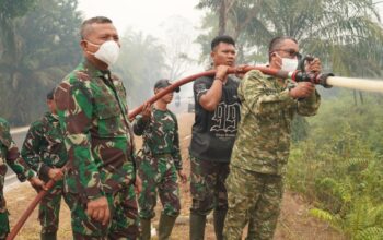Tekan Perluasan Api, Kasdam XXII/TB Pantau Penanganan Karhutla di Palangka Raya