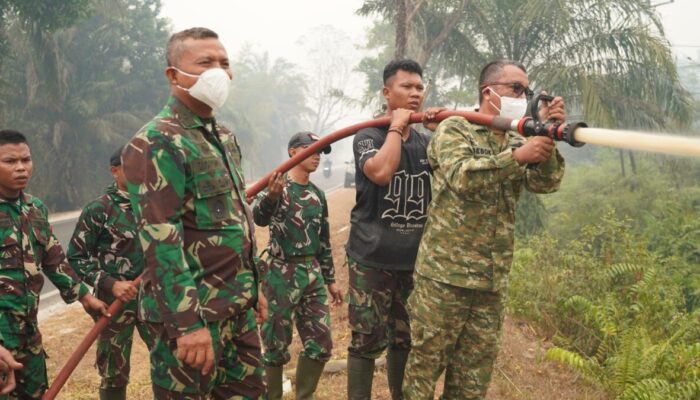 Tekan Perluasan Api, Kasdam XXII/TB Pantau Penanganan Karhutla di Palangka Raya