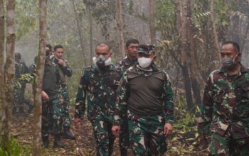 Pangdam XXII/Tambun Bungai Tinjau Karhutla di Tumbang Nusa, Pastikan Pemadaman Optimal