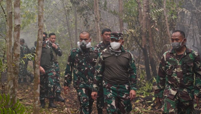 Pangdam XXII/Tambun Bungai Tinjau Karhutla di Tumbang Nusa, Pastikan Pemadaman Optimal
