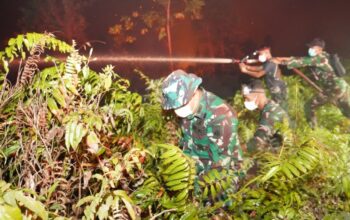 Cegah Karhutla Meluas, Kapendam XXII/Tambun Bungai Pantau Tim Pemadam