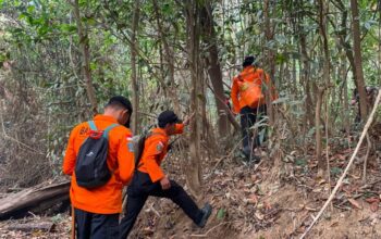 Tujuh Hari Dicari, Warga Kamawen yang Hilang di Hutan Belum Ditemukan