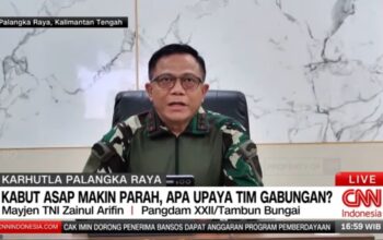 Pangdam XXII/TB Kerahkan 2.500 Personel TNI, Berjibaku Padamkan Karhutla di Kalteng dan Kalsel