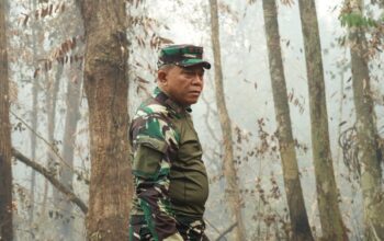 Pangdam Terjang Medan Sulit, Percepat Penanganan Karhutla di Tanjung Puting