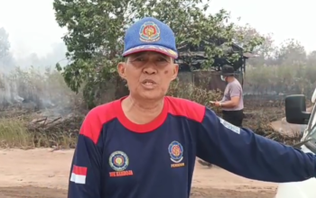 Kebakaran Hanguskan Pondok Kayu dan Sarang Walet di Palangka Raya, Tak Ada Korban Jiwa