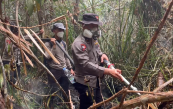 Tempuh 3,7 Km Jalan Kaki, Satgas Karhutla Polda Kalteng Berjuang Padamkan Karhutla di Tanjung Puting