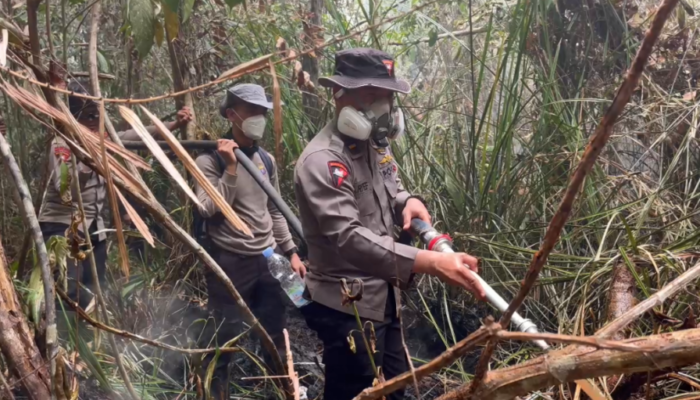Tempuh 3,7 Km Jalan Kaki, Satgas Karhutla Polda Kalteng Berjuang Padamkan Karhutla di Tanjung Puting