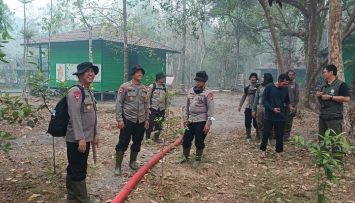 Hujan Guyur Lahan Bekas Karhutla di Tanjung Puting, Brimob Masih Temukan Bara Api