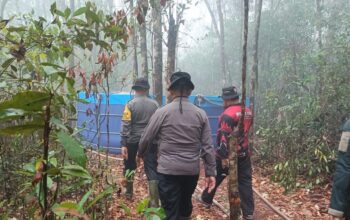 Hujan Guyur Tanjung Puting, Brimob Kalteng Pastikan Bara Karhutla Tak Kembali Menyala