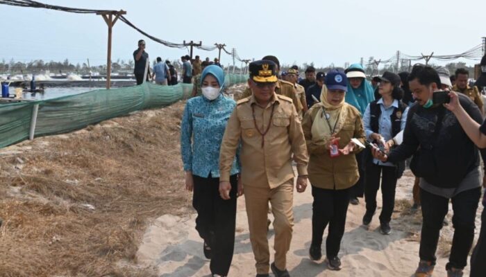 Potensi Tambak Udang Sukamara, Agustiar Sabran Dorong Ekonomi Pesisir
