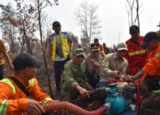Cegah Karhutla Meluas, Wamenko Pangan Bersama TNI Tinjau Lahan di Palangka Raya