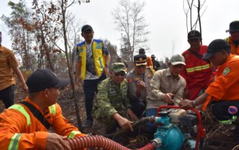 Cegah Karhutla Meluas, Wamenko Pangan Bersama TNI Tinjau Lahan di Palangka Raya