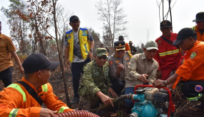 Cegah Karhutla Meluas, Wamenko Pangan Bersama TNI Tinjau Lahan di Palangka Raya