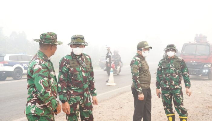 Pangdam Tambun Bungai Turun Tangan Atasi Karhutla di Sambang Lihum, Pakai Metode Pembalikan Gambut