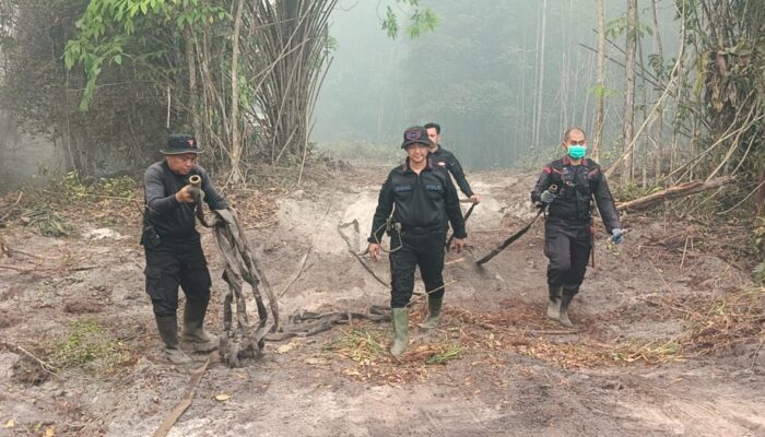Pantang Libur, Personel Polda Kalteng Berjibaku Padamkan Karhutla di Palangka Raya