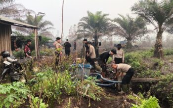 Karhutla Lahap 6 Hektare Lahan Gambut di Bukit Tunggal, Polisi Berjibaku Padamkan Bara
